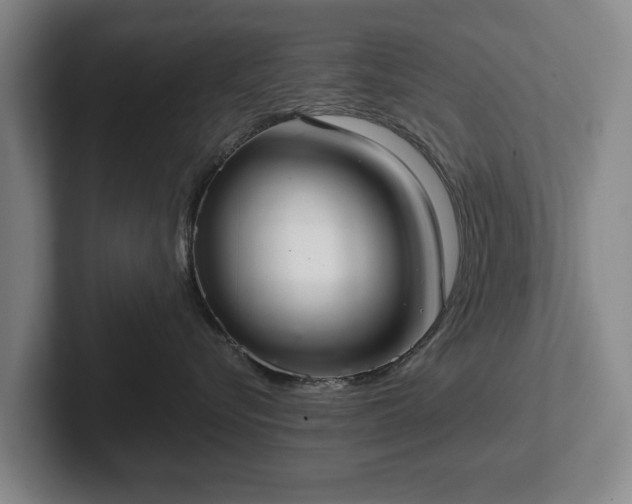 X0000102400576200808081307