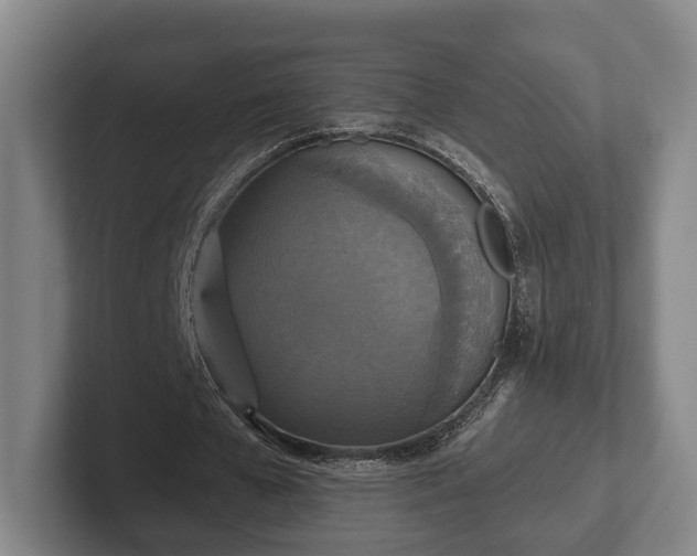 X0000102400577200808081306