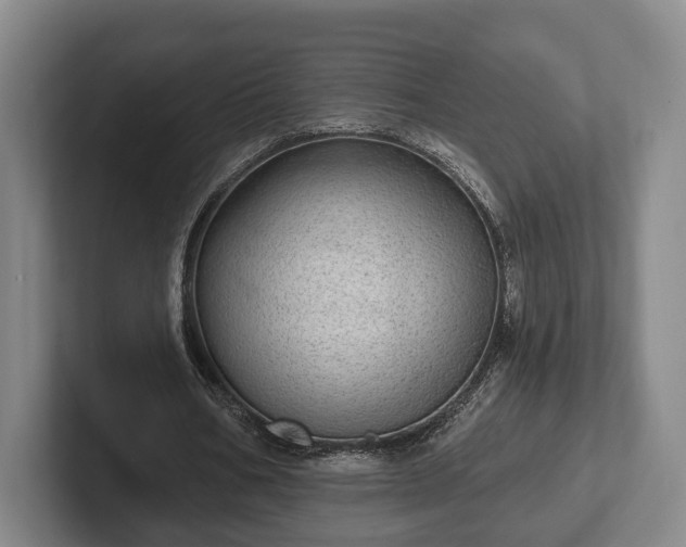 X0000102400578200808081306