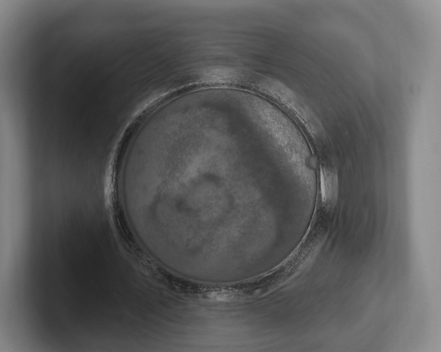 X0000102400579200808081306