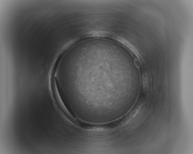 X0000102400581200808081306