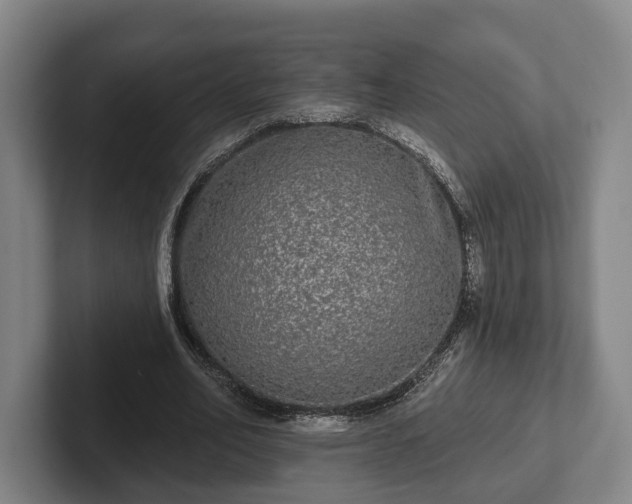 X0000102400582200808081306