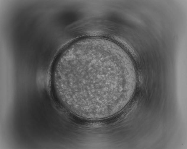 X0000102400583200808081306