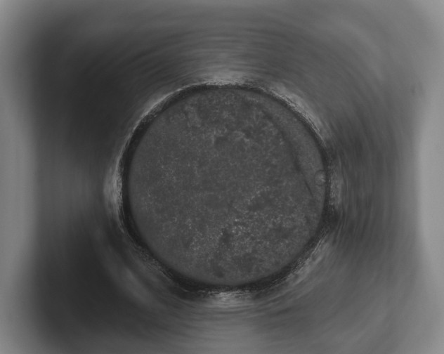 X0000102400584200808081306