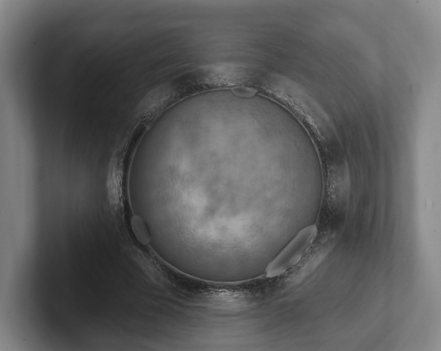 X0000102400585200808081306