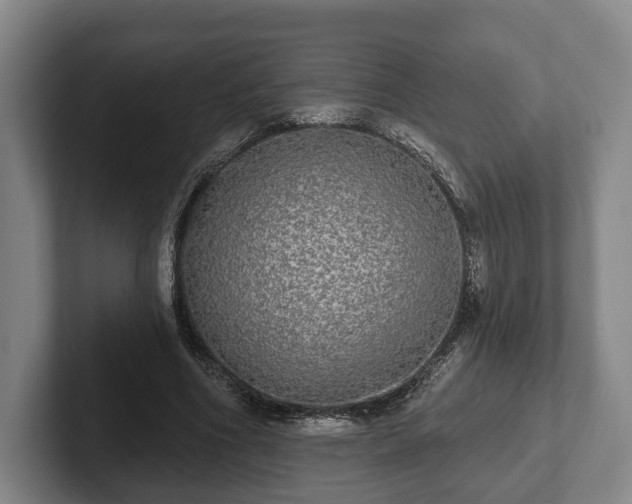 X0000102400586200808081306