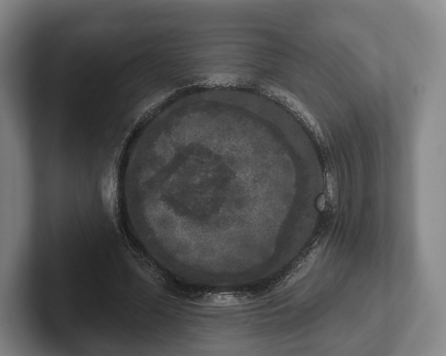 X0000102400588200808081306