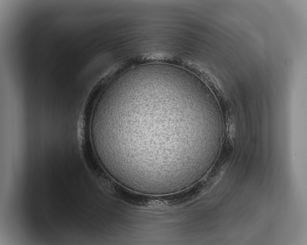 X0000102400591200808081306