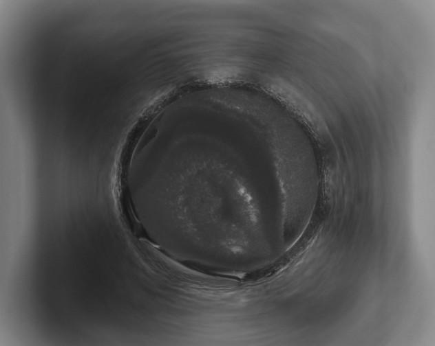 X0000102400592200808081306