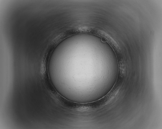 X0000102400593200808081306