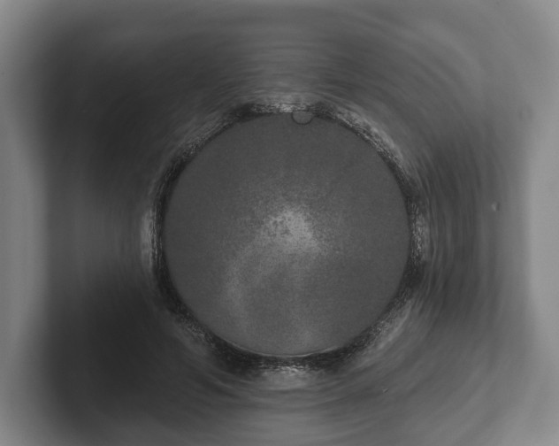 X0000102400594200808081306