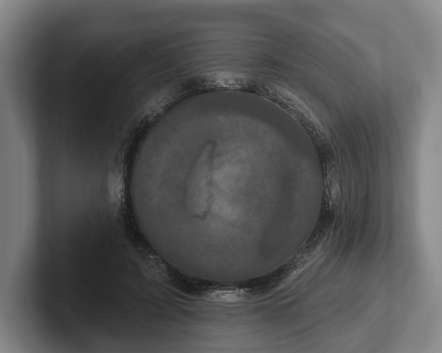 X0000102400595200808081306