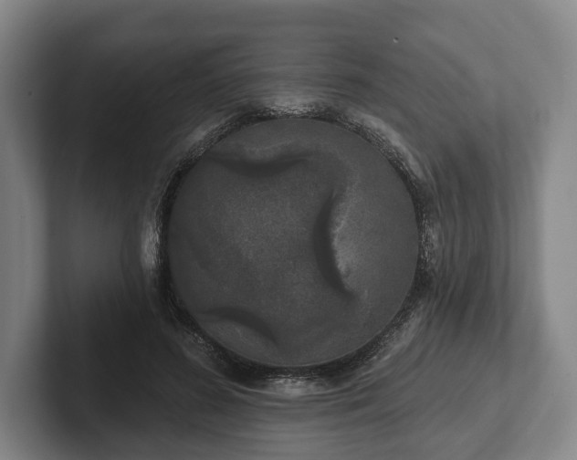 X0000102400596200808081306