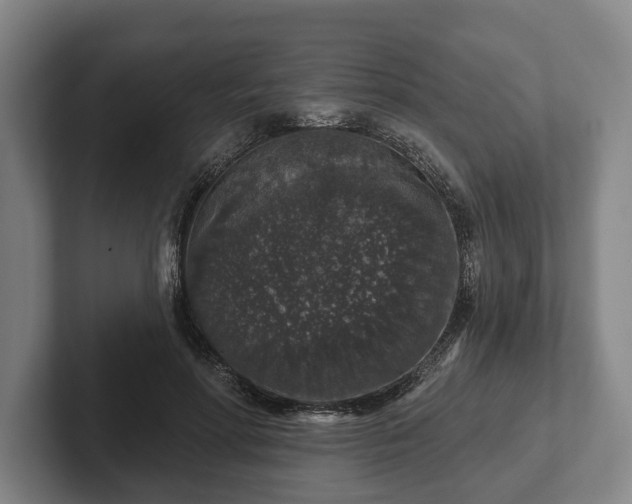 X0000102400598200808081306