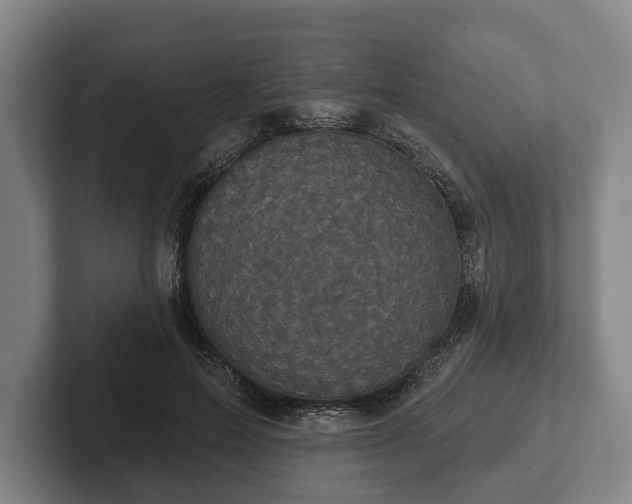 X0000102400599200808081306