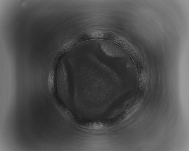 X0000102400600200808081306