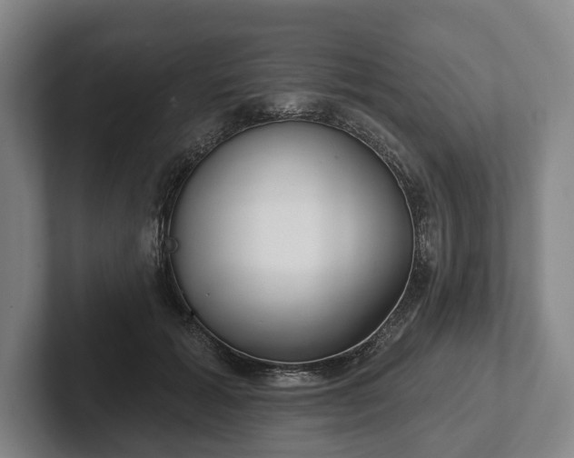 X0000102400605200808081306