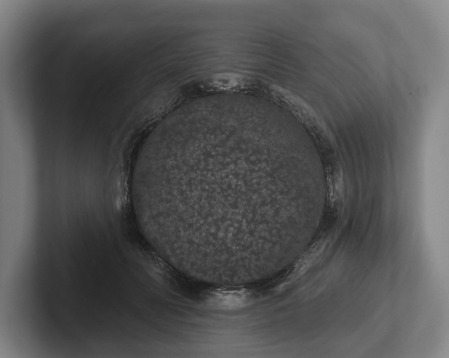 X0000102400606200808081306