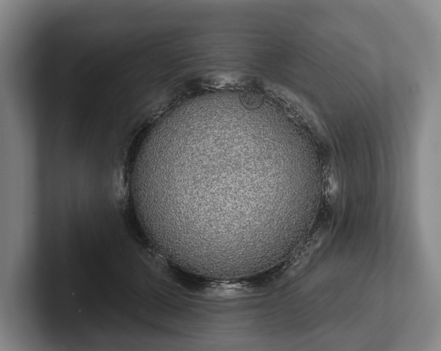 X0000102400607200808081306