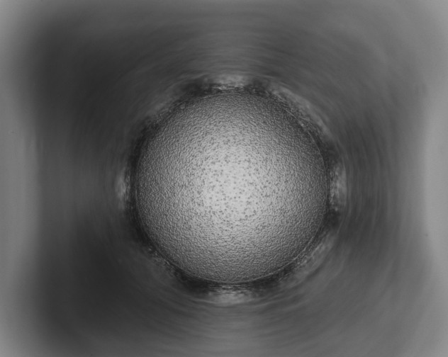 X0000102400608200808081306