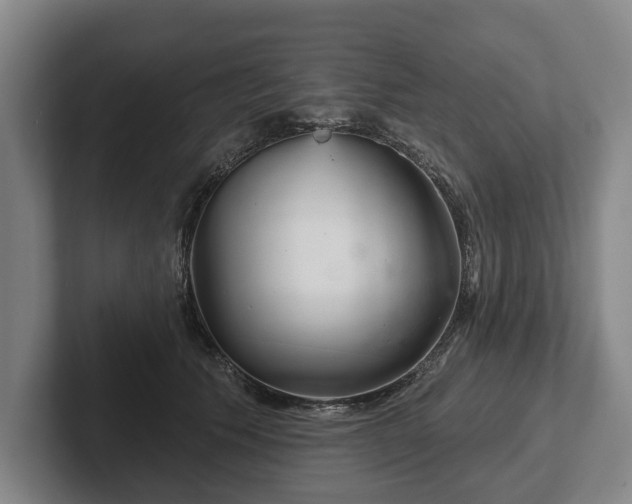 X0000102400609200808081306