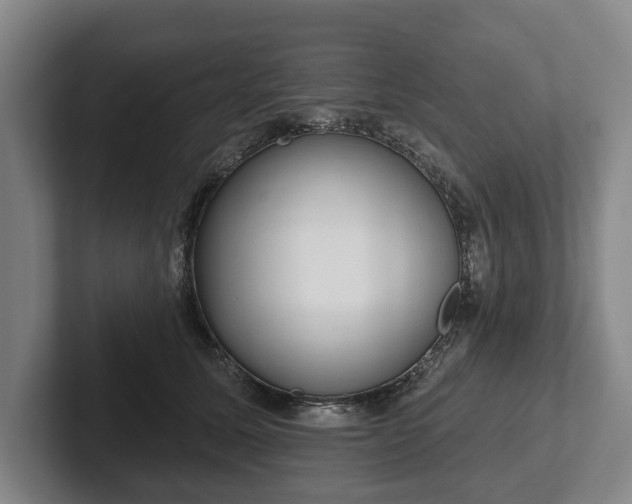 X0000102400611200808081306