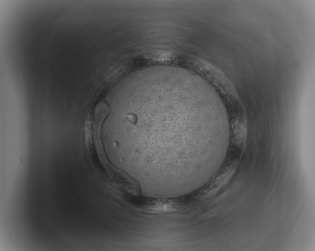 X0000102400612200808081306