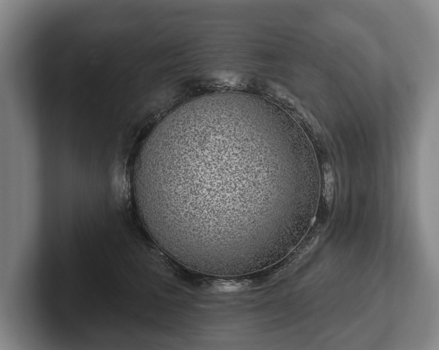 X0000102400613200808081306