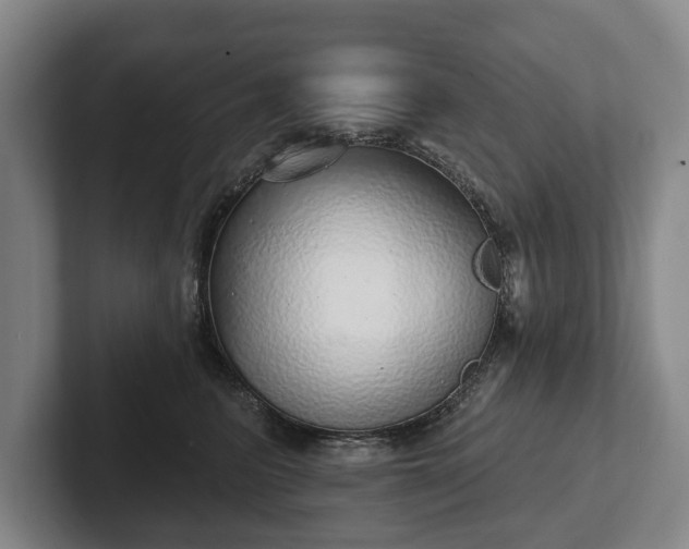 X0000102400615200808081306