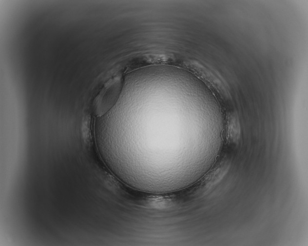 X0000102400616200808081306