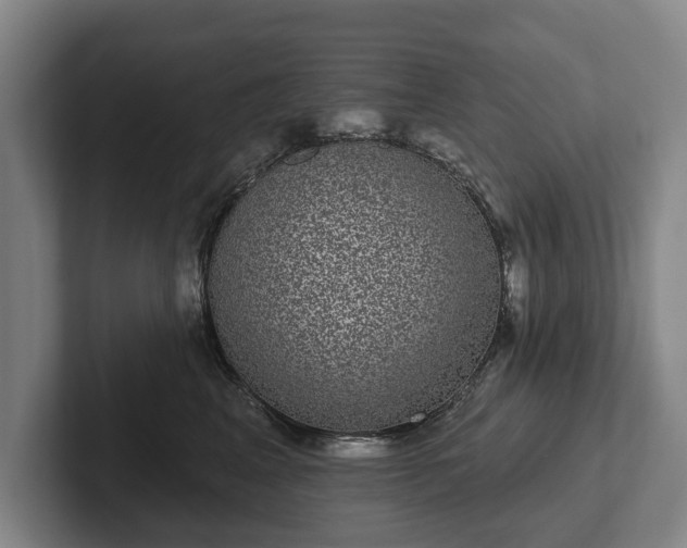 X0000102400617200808081306