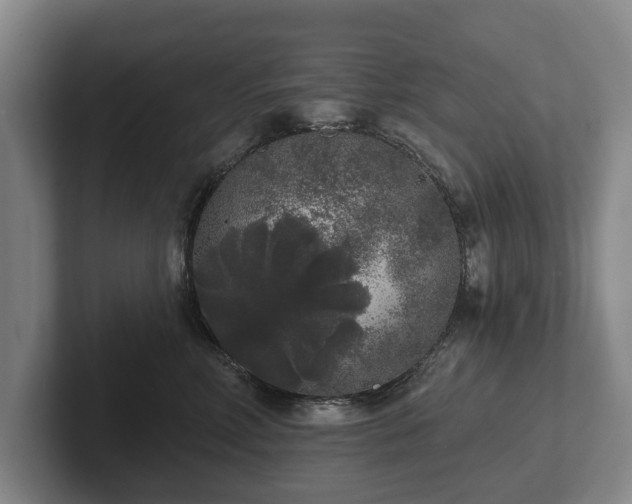 X0000102400618200808081306