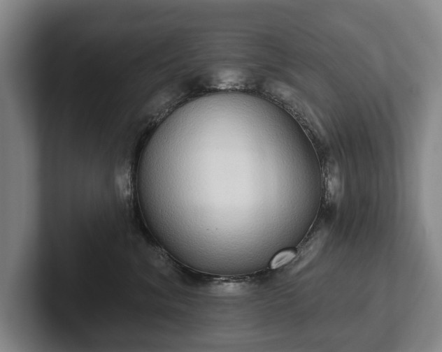 X0000102400620200808081306