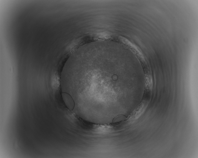 X0000102400621200808081306