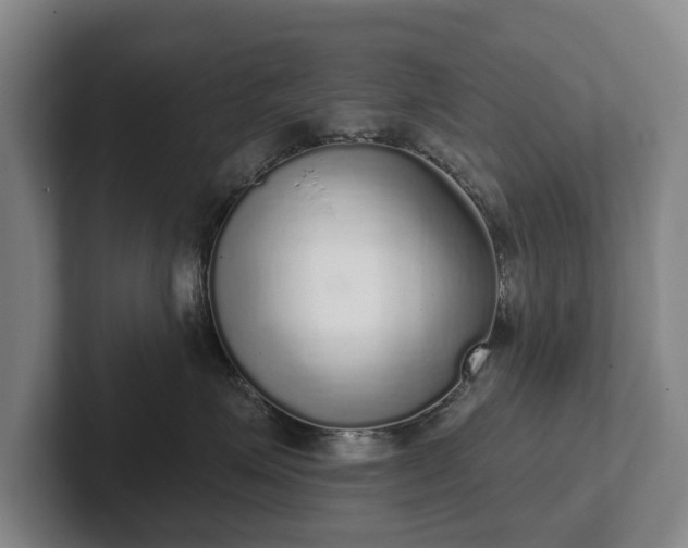 X0000102400623200808081306