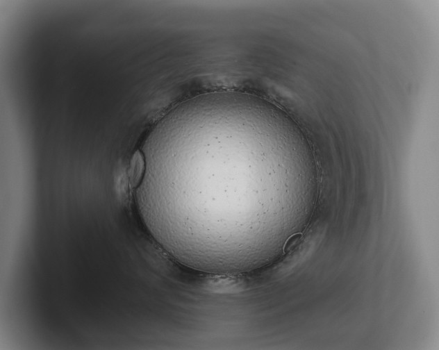 X0000102400624200808081306