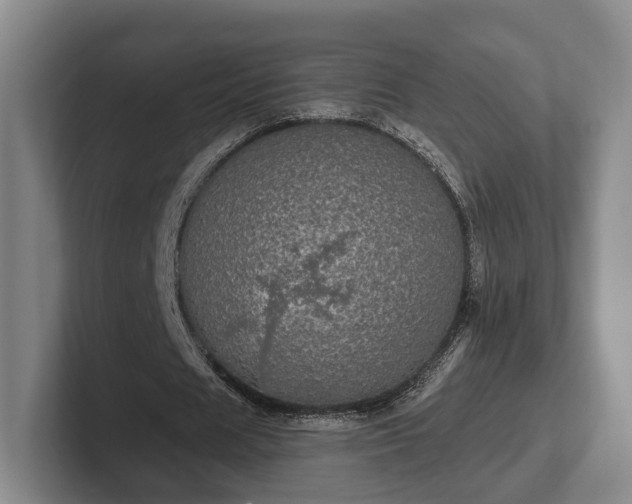 X0000102400625200808081305