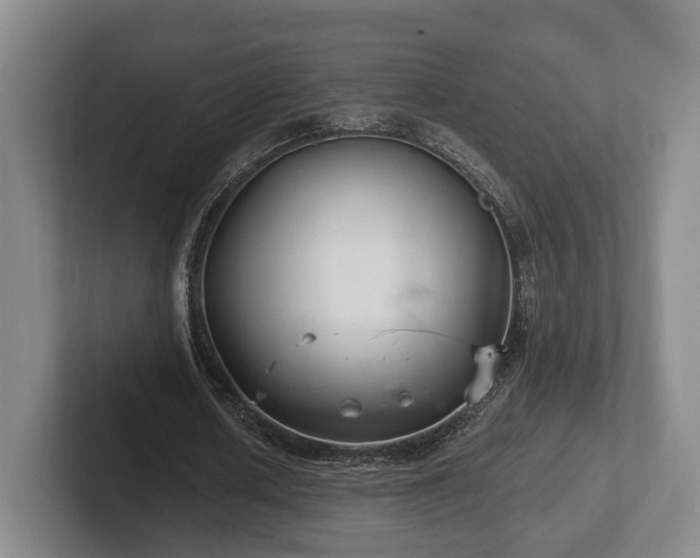 X0000102400626200808081305