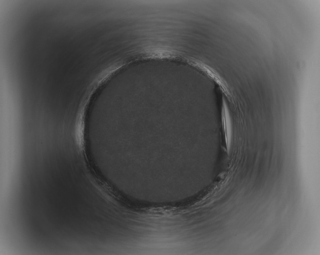 X0000102400627200808081305