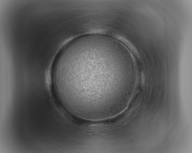 X0000102400628200808081305