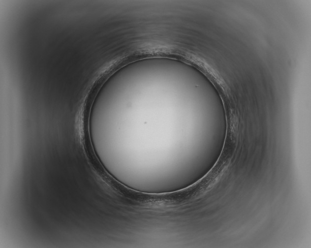 X0000102400629200808081305