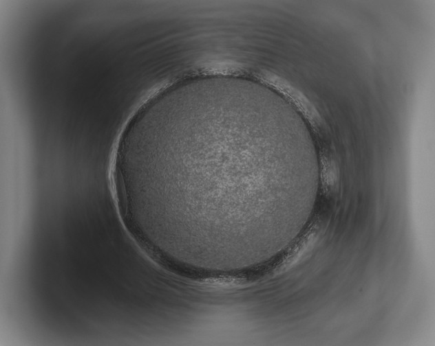 X0000102400630200808081305