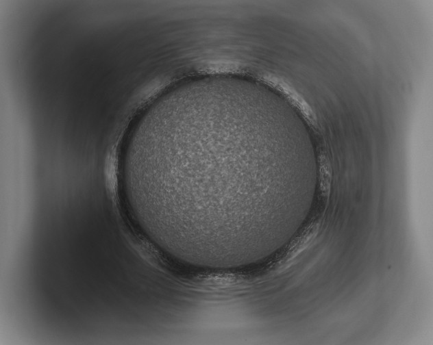 X0000102400631200808081305