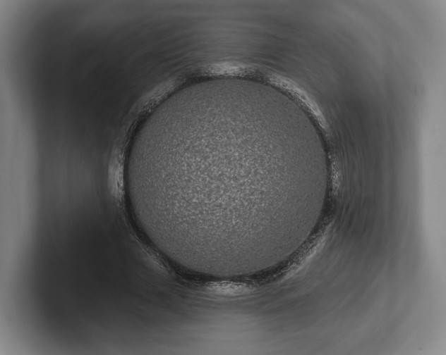 X0000102400633200808081305