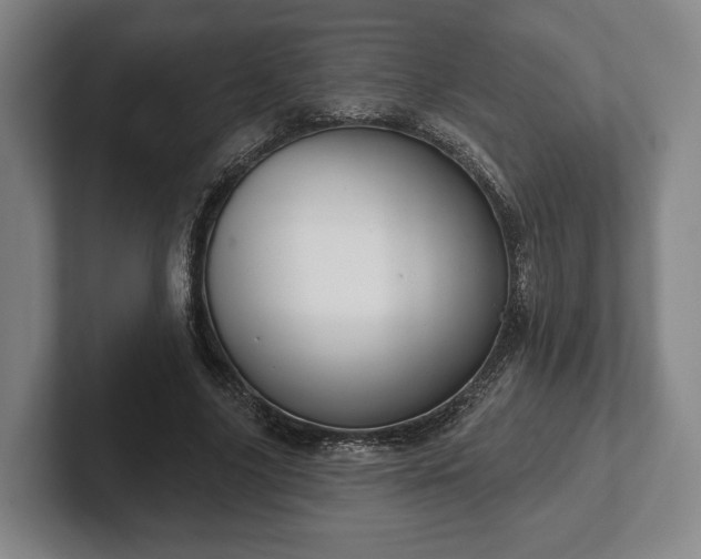 X0000102400635200808081305