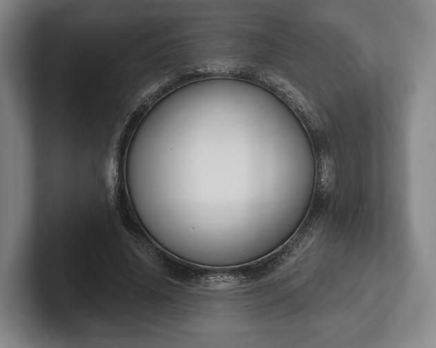 X0000102400636200808081305