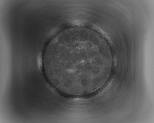 X0000102400637200808081305