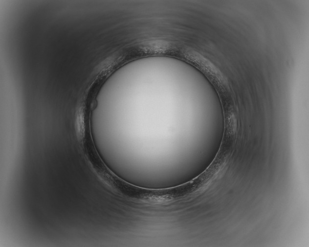 X0000102400638200808081305