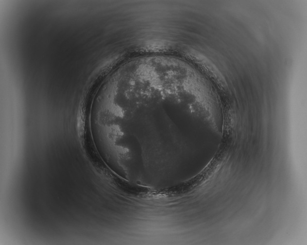 X0000102400640200808081305