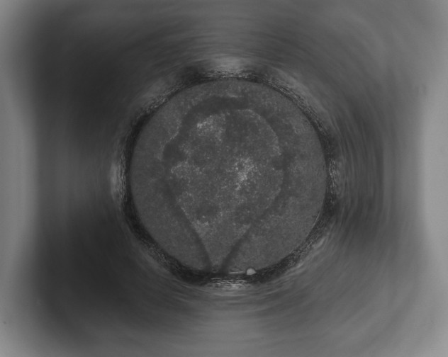 X0000102400642200808081305